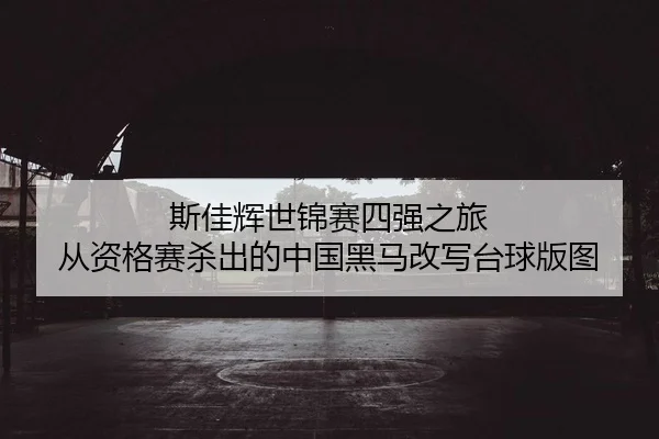 si-jia-hui-shi-jin-sai-si-qiang-zhi-lv-cong-zi-ge-sai-sha-chu-de-zhong-guo-hei-ma-gai-xie-tai-qiu-ban-tu-2-623.jpg